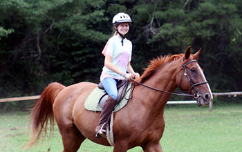 horseback riding camp summer horse camps horseback riding horse riding 350x220