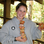 Children Summer Camps
