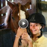 Horseback Riding Video Horse Program Video