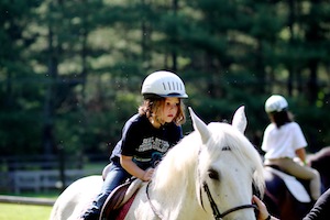 #10. We can't wait to see the horses!