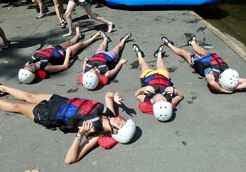 rafters warm sunning on ground