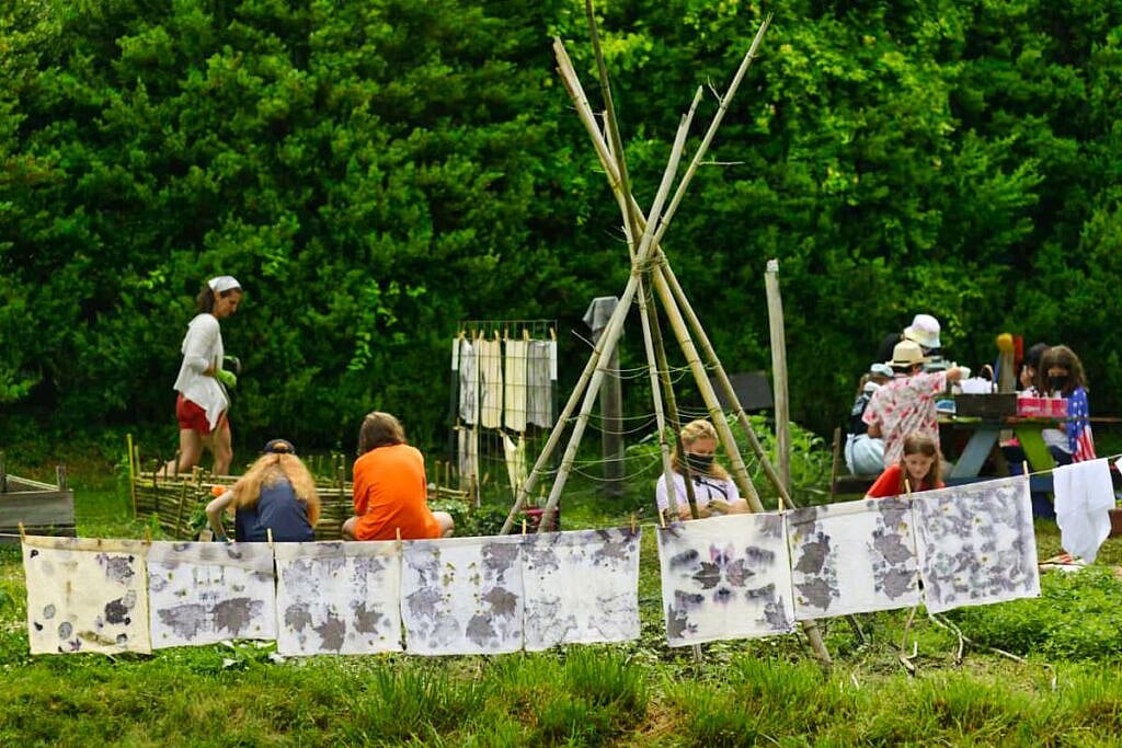 a garden for artwork