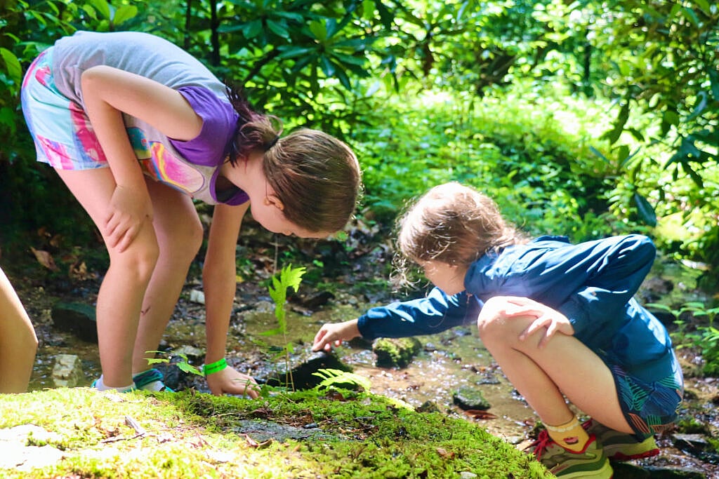 camp nature girls exploring