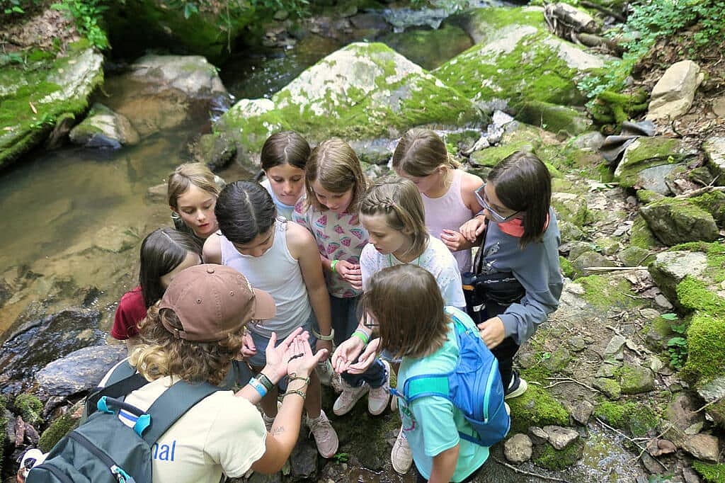 camp girls exploring nature