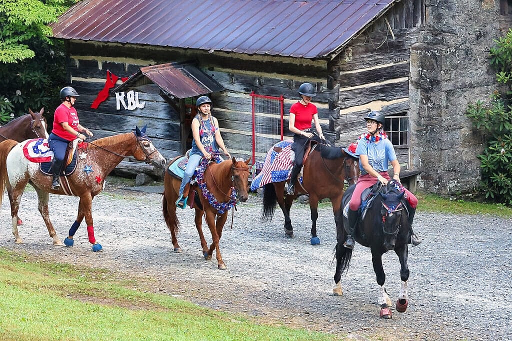 horse at camp on 4th of July