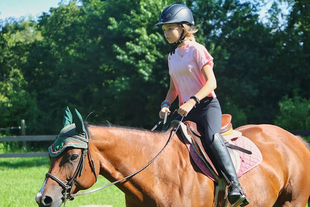 camp horse girl trot