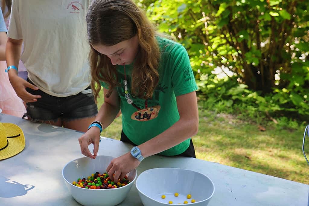 summer camp sorting game
