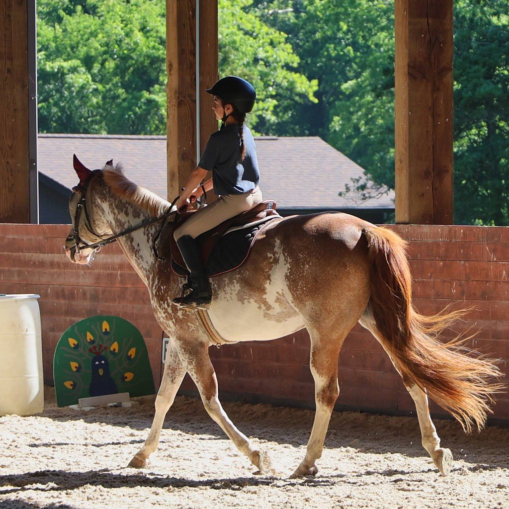 young girl camp riding horse