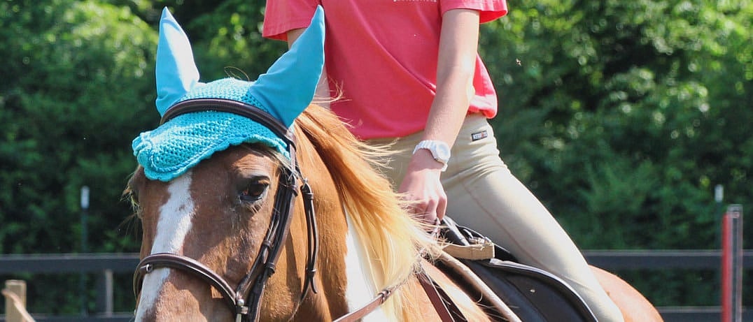 summer camp horse riding