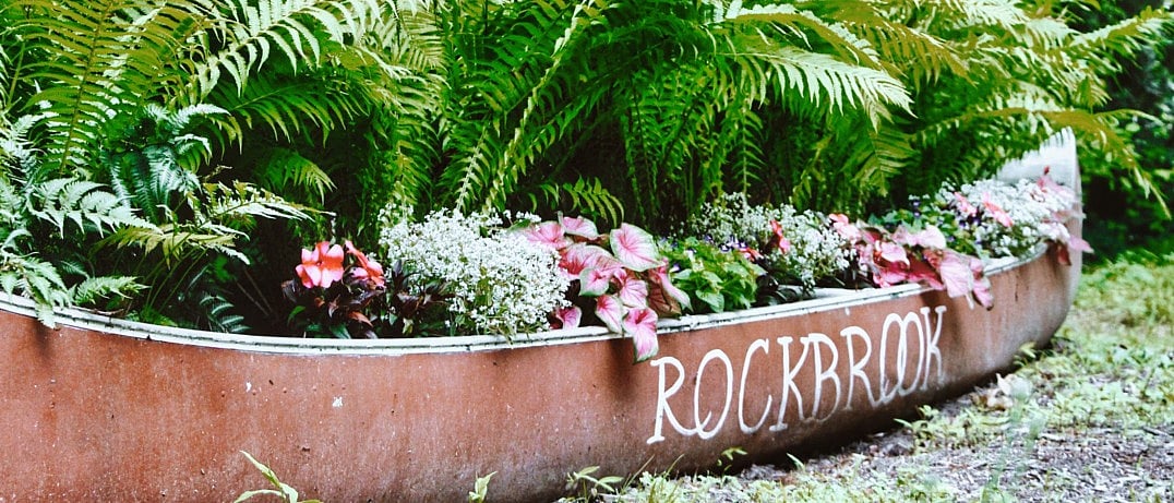 rockbrook canoe planting of ferns