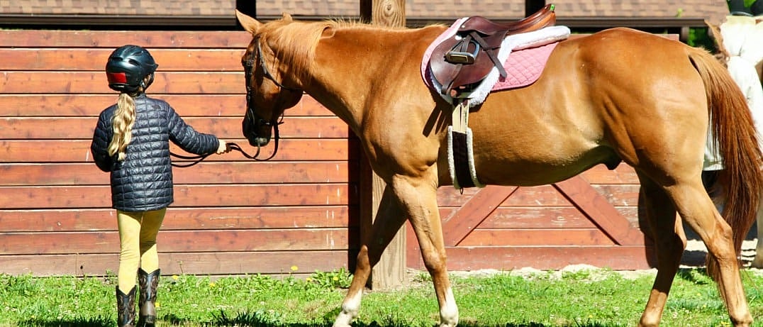 girl leading a horse