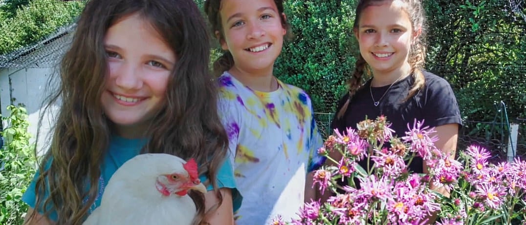 willowwacks summer camp