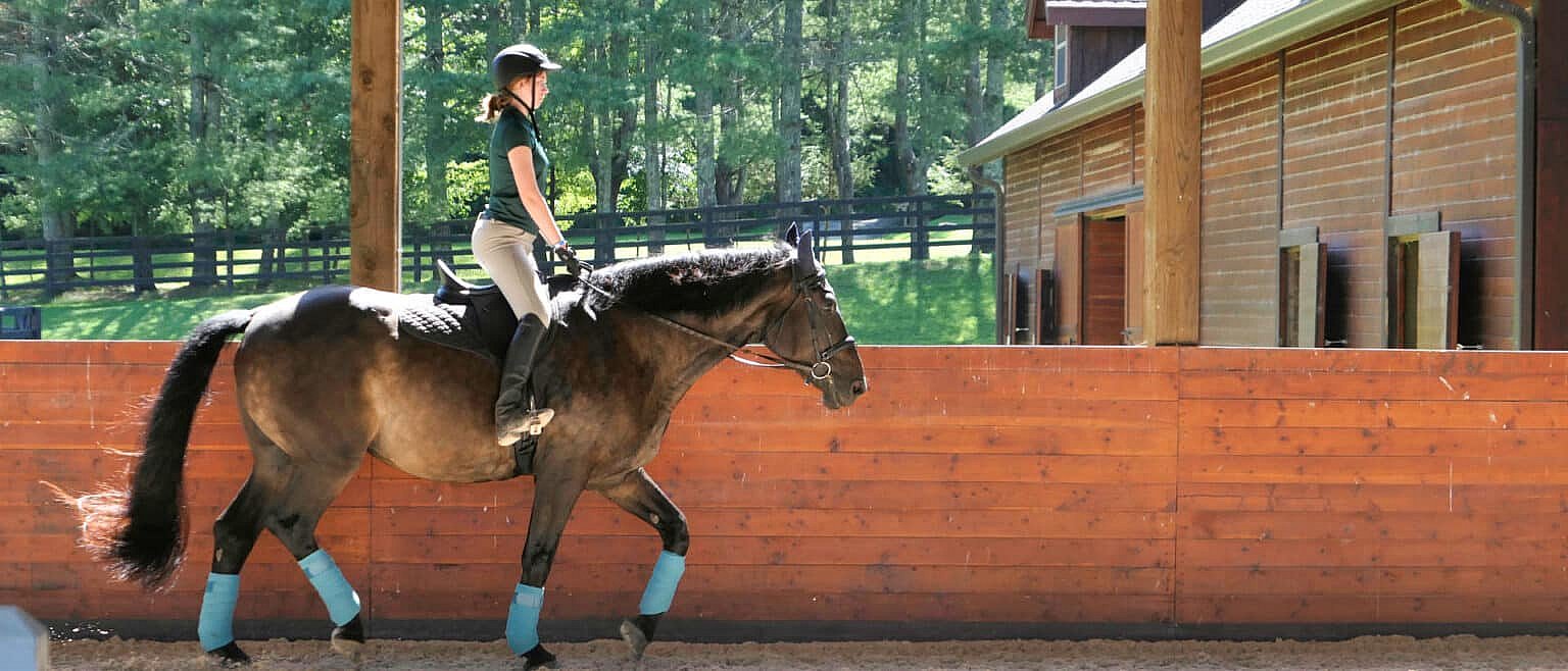 Advanced Horse Riding Camps | Rockbrook Camp