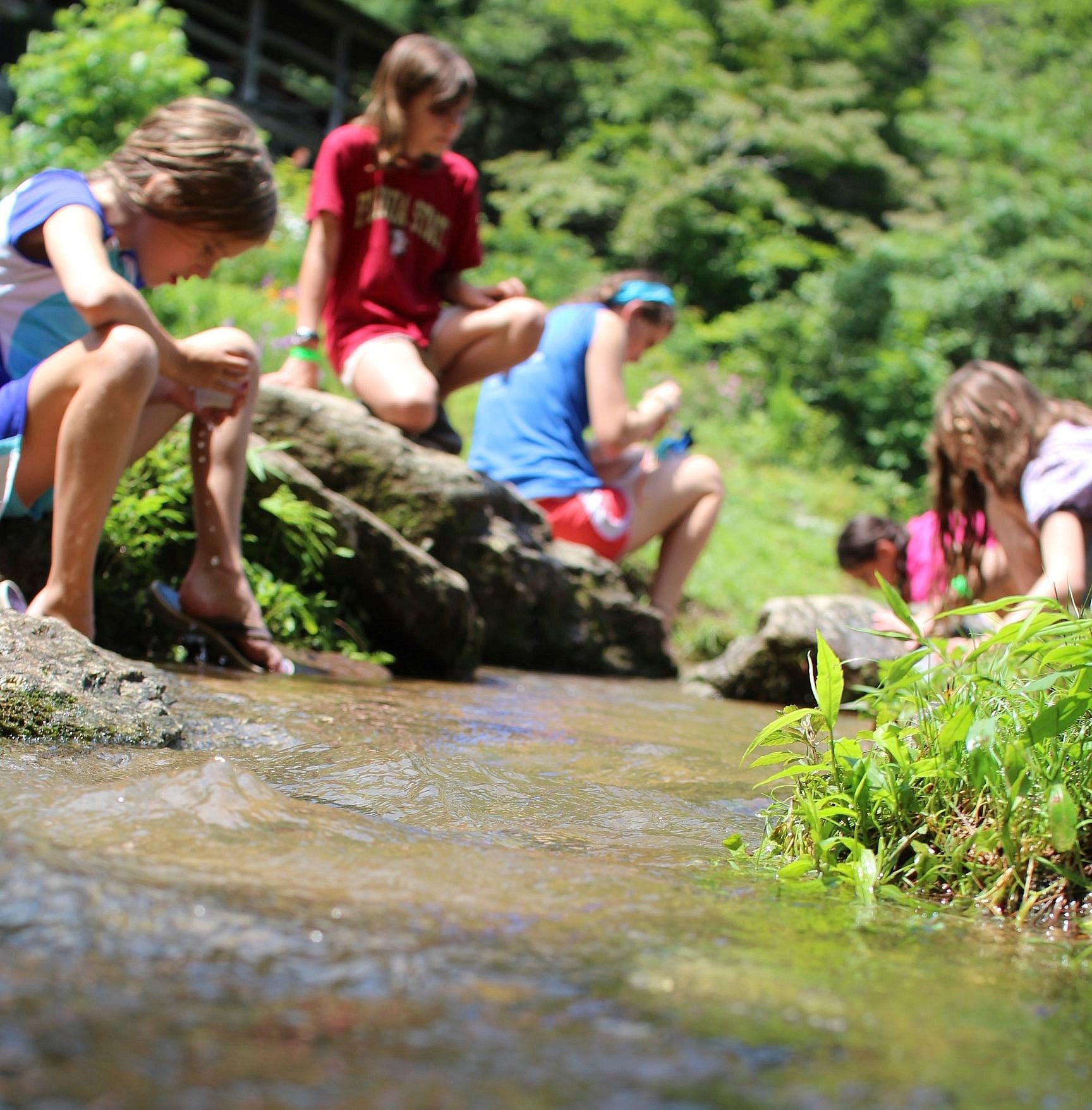 simple life in the creek