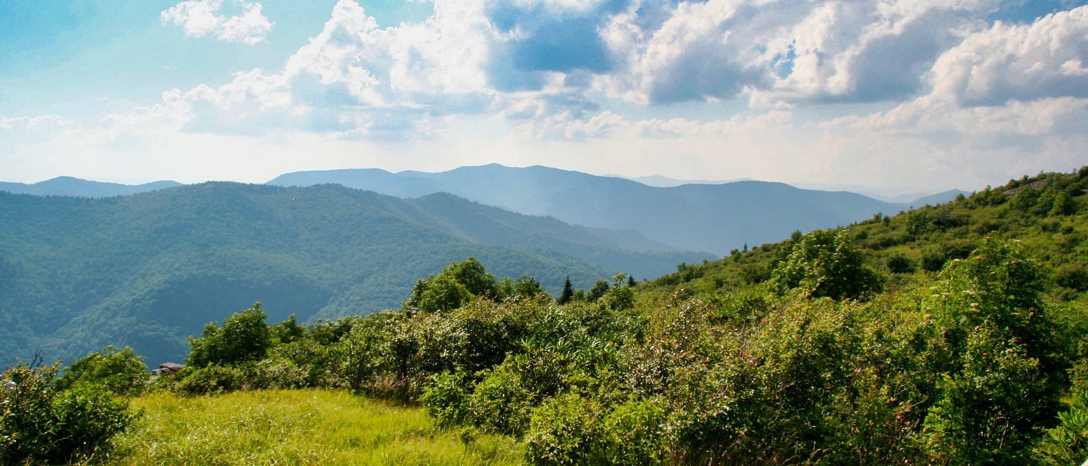 Rolling green NC mountains stretch under a partly cloudy sky with dense shrubs and grass in the foreground.