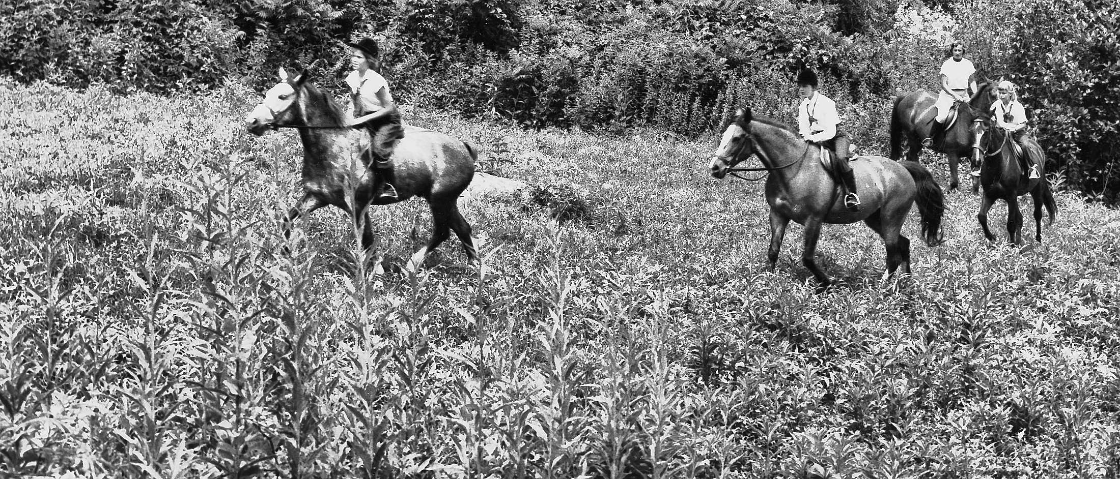 Early summer camp girls horseback riding