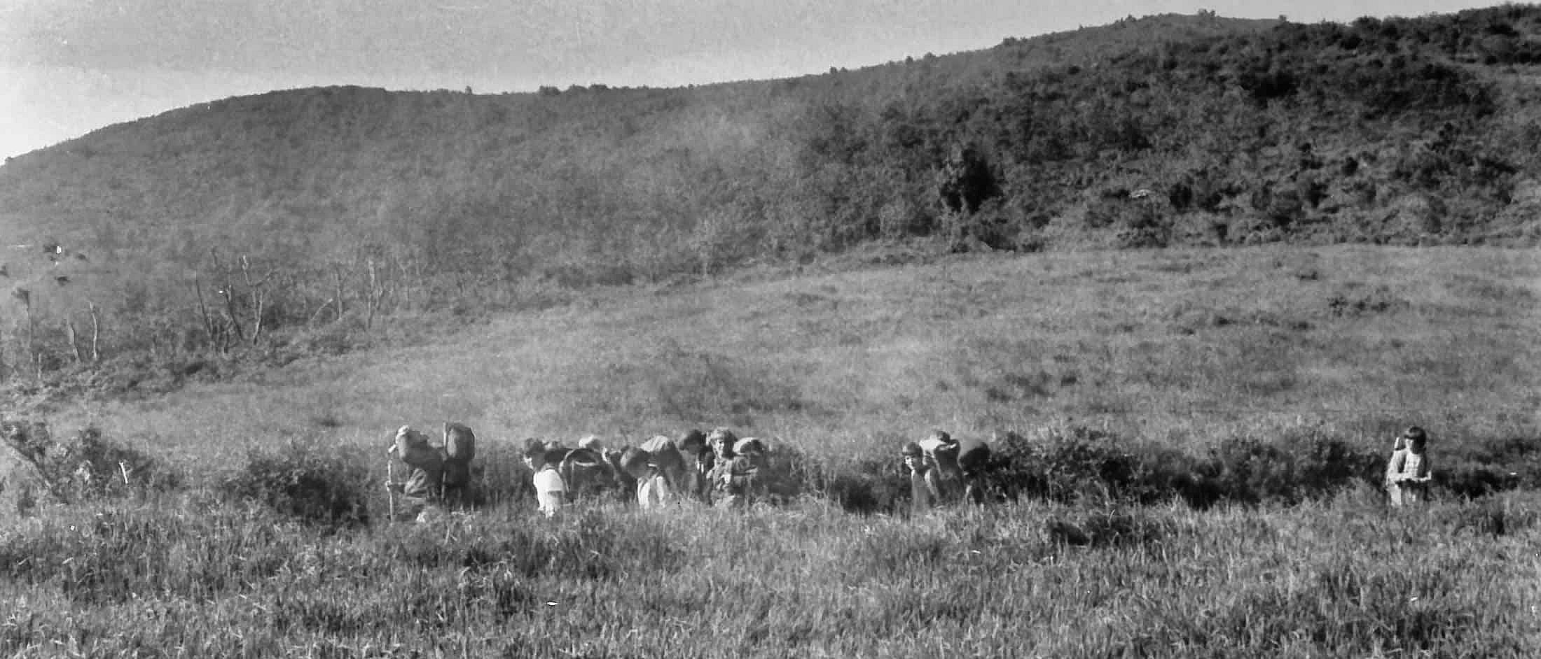 A group of backpackers hiking through tall grass on a hillside with a wooded ridge in the background.