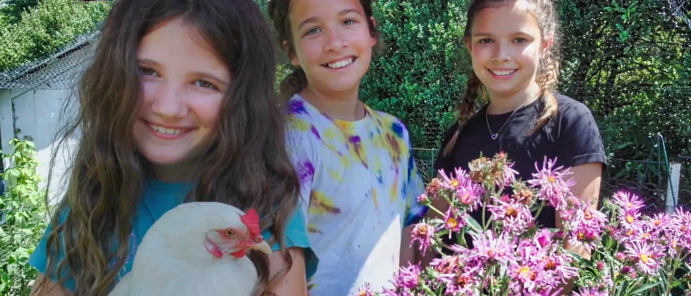 willowwacks summer camp