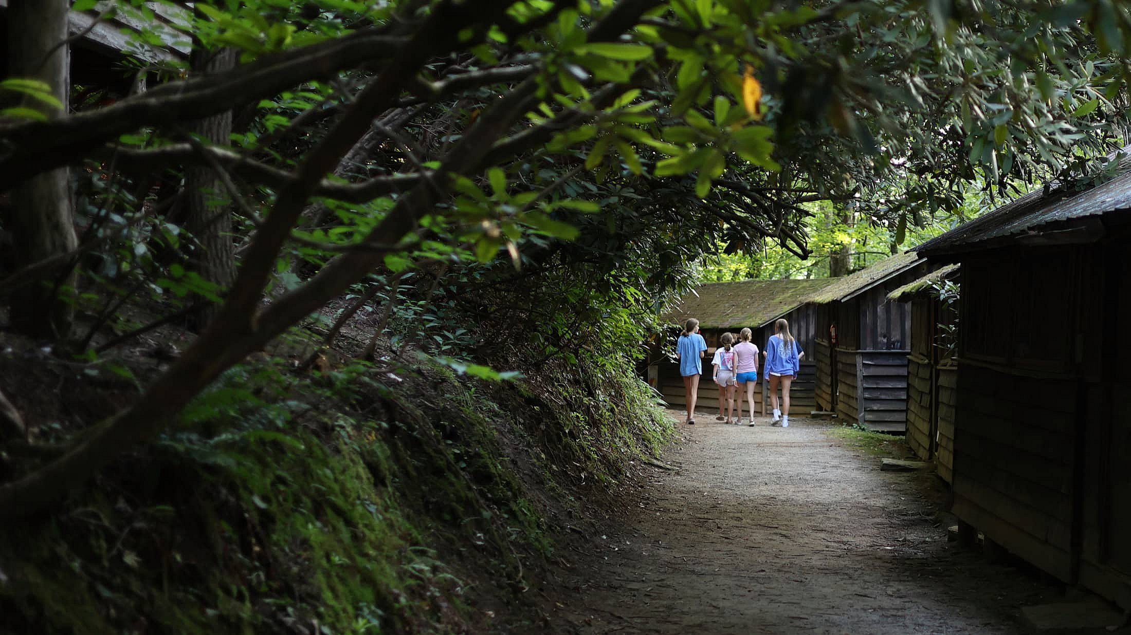 rockbrook forest camp