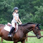 two point horse riding 2 point hunt jump horse seat