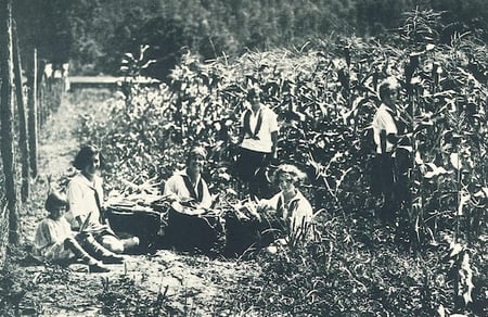 Corn 1926