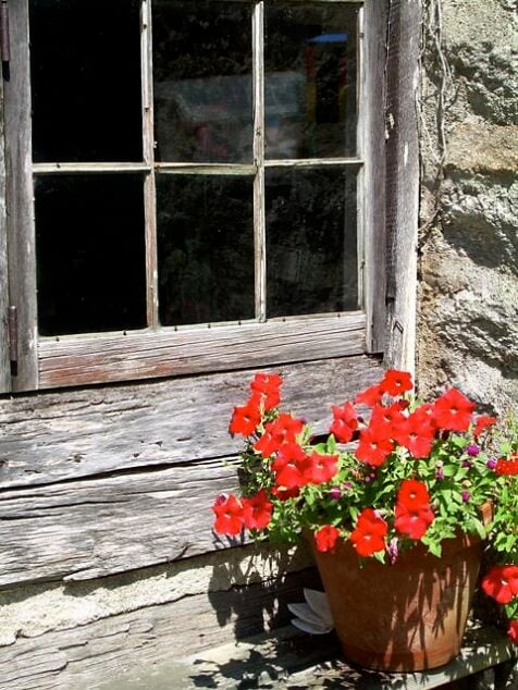 Curosty log cabin at camp