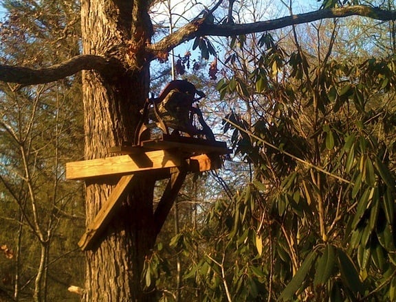 Girls Summer Camp Bell