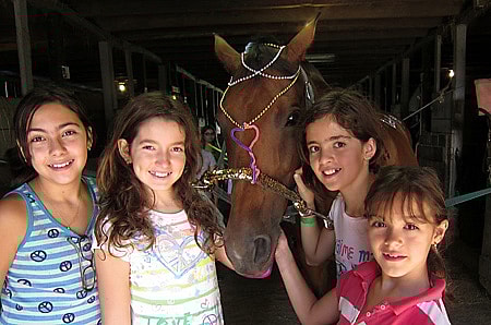 Campers decorate a horse
