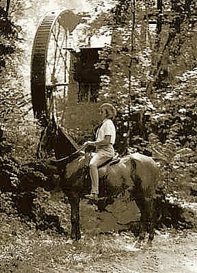 Rockbrook Water Wheel
