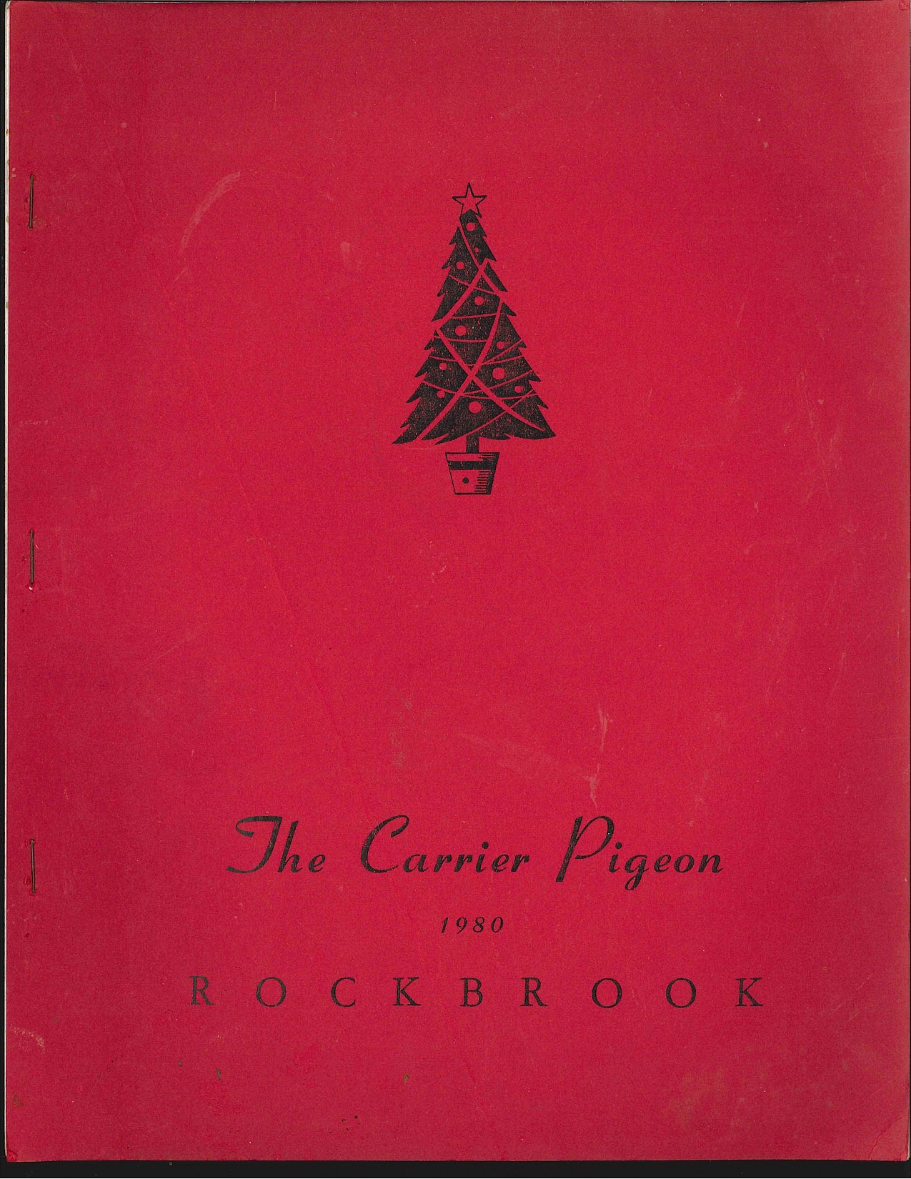 Camp writings book 1980
