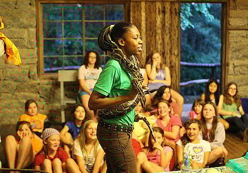 Cold Blooded Animal Show