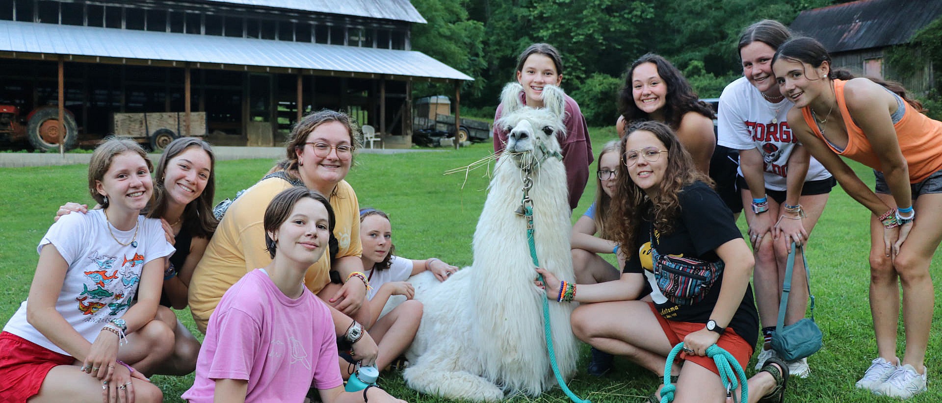 Life Lessons, Silly String and Llamas