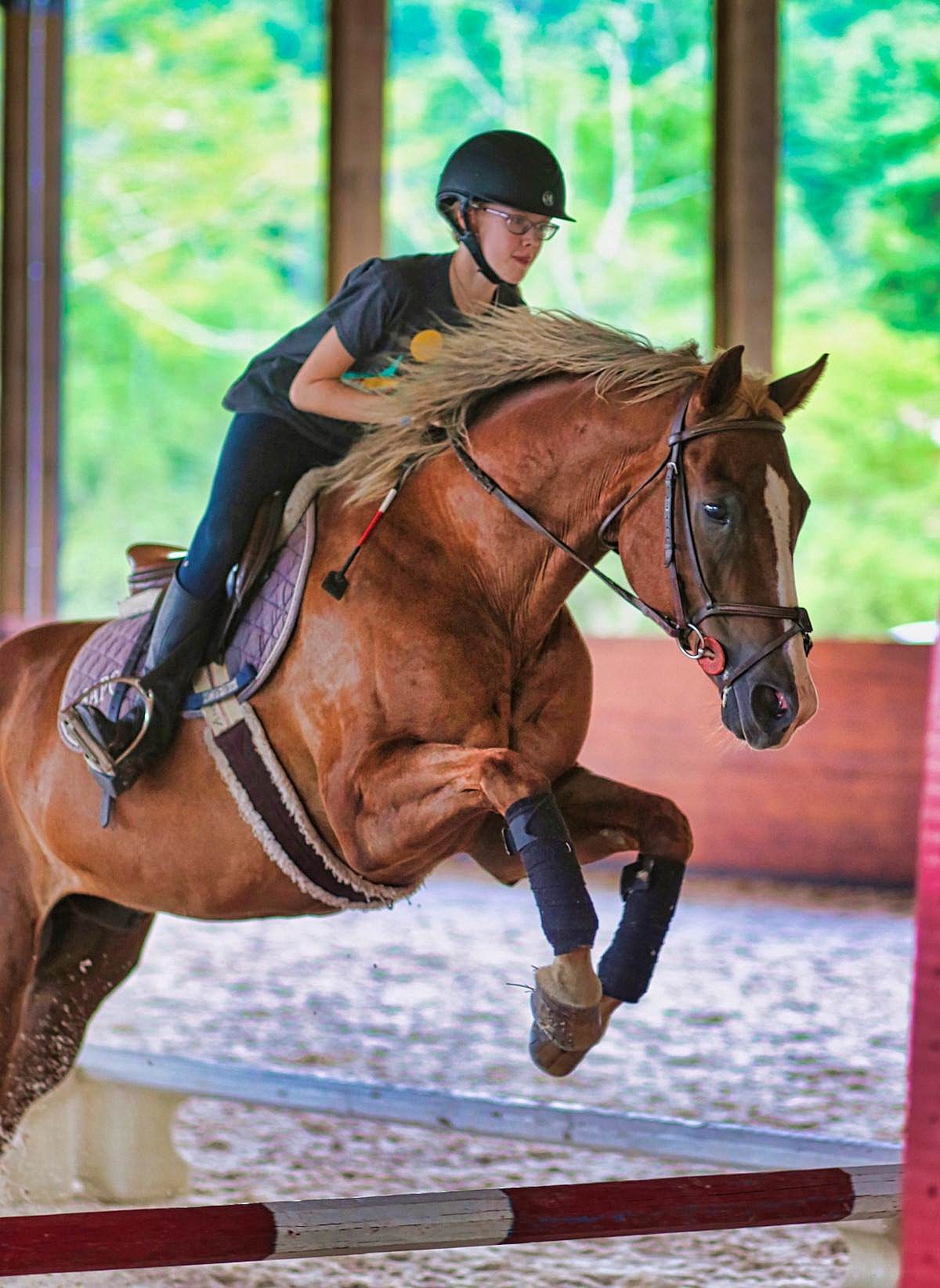 Girls horse top jumper