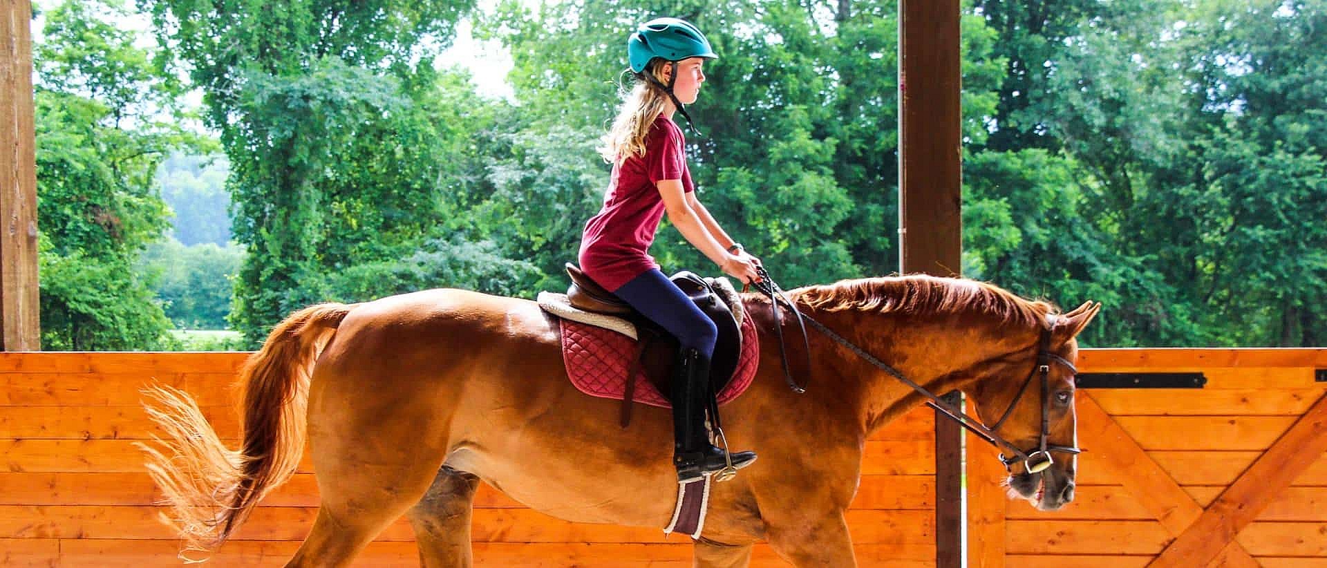 camp horse riding activity