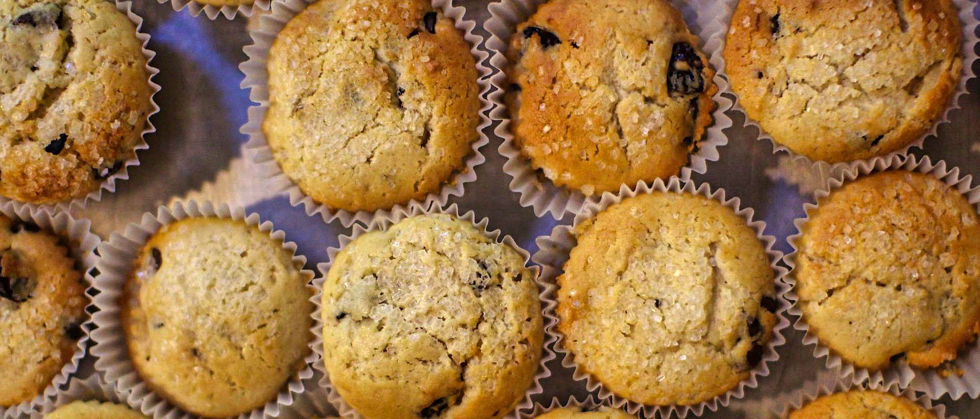 yummy camp snack muffins