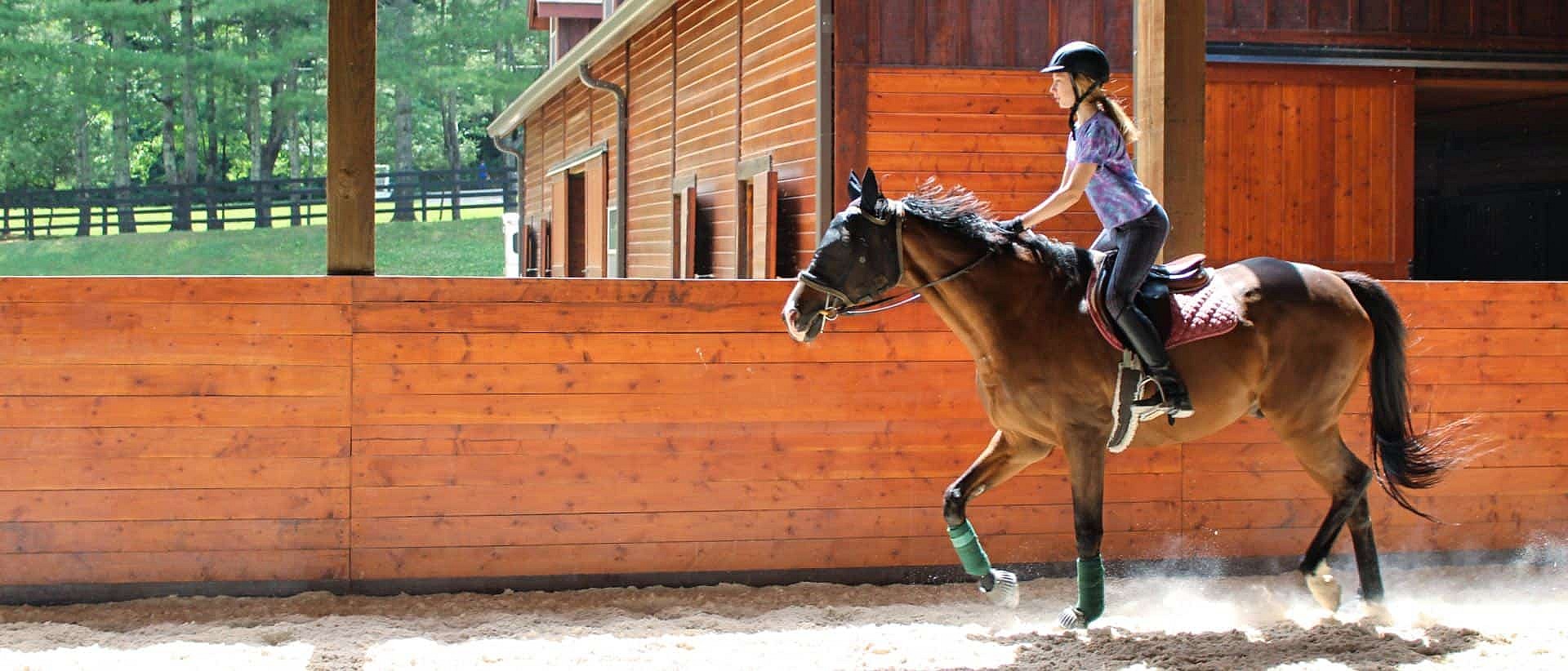 girl horse camp riding in arena