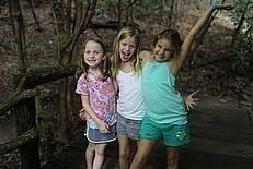Three Musketeers 