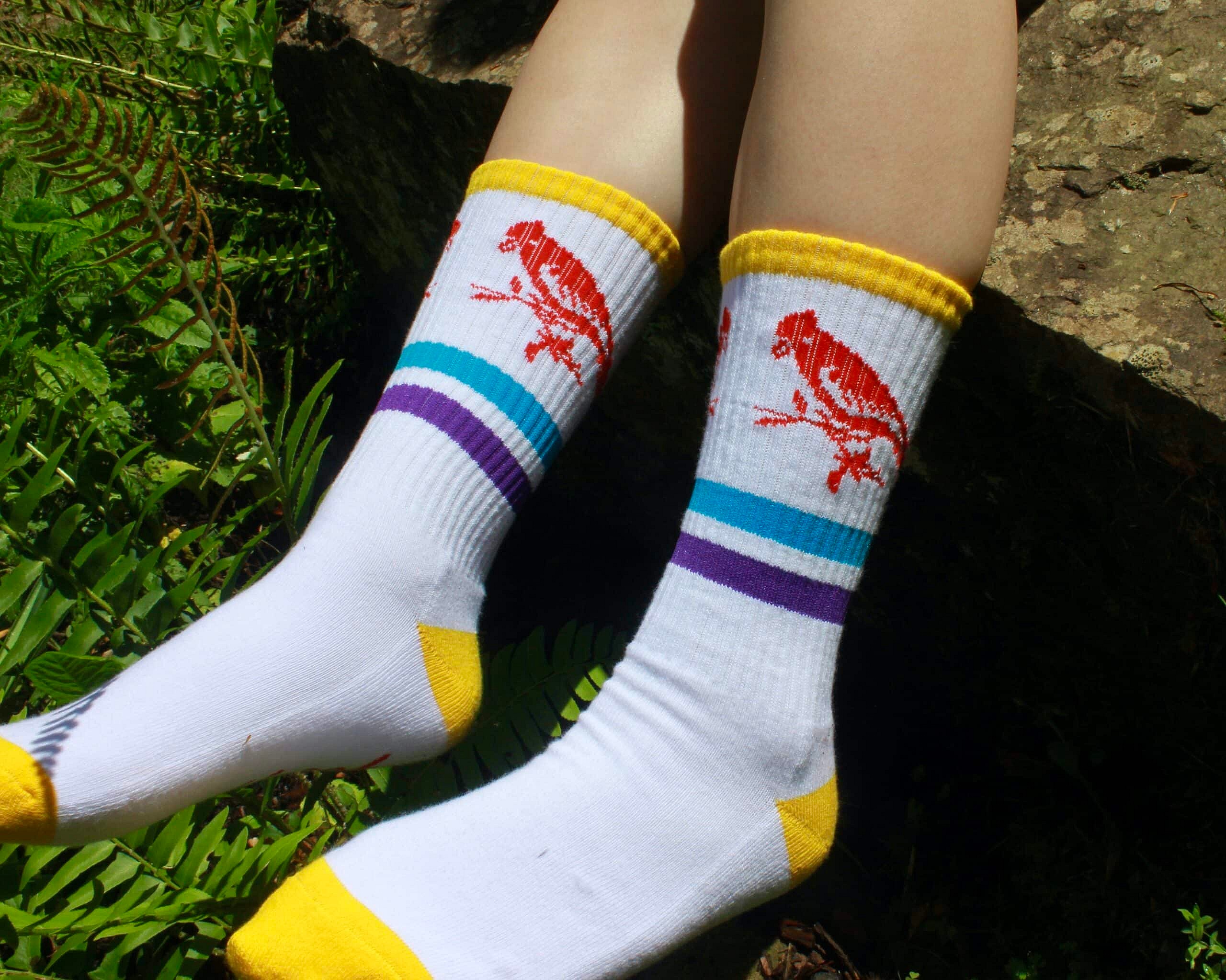 striped crew sock