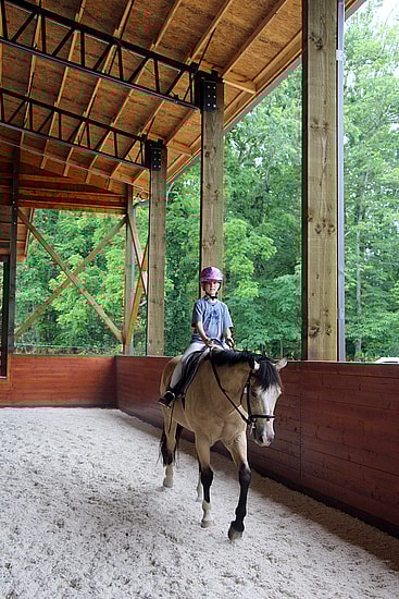 Horse Arena Rider
