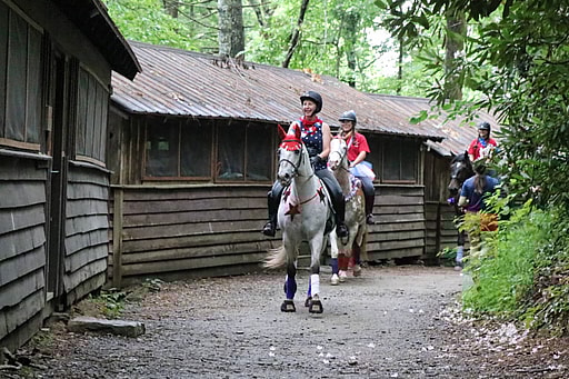 4th of July summer camp horses