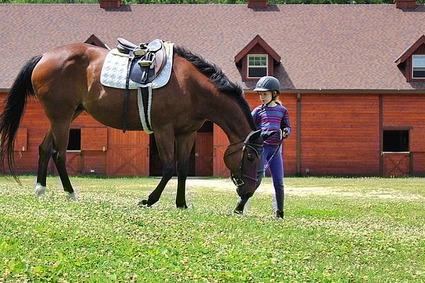 tiny kid with big horse and barn