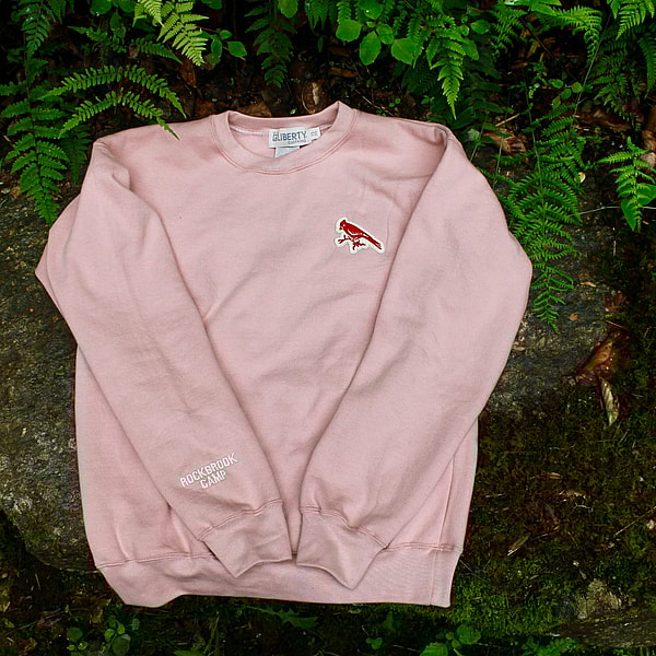 light pink sweatshirt