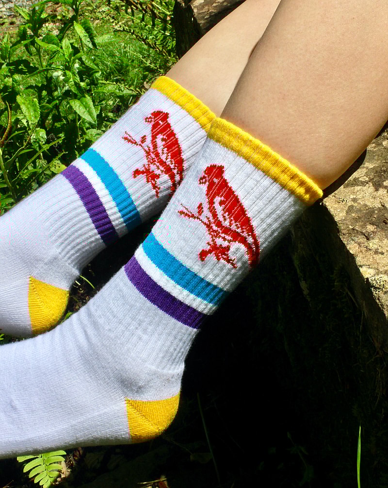 striped crew sock close up