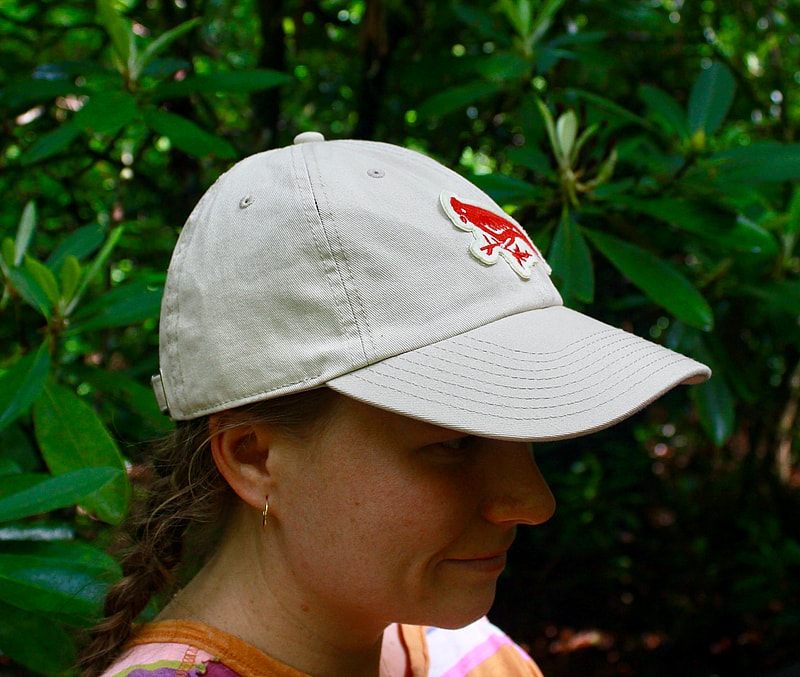 tan baseball cap side view