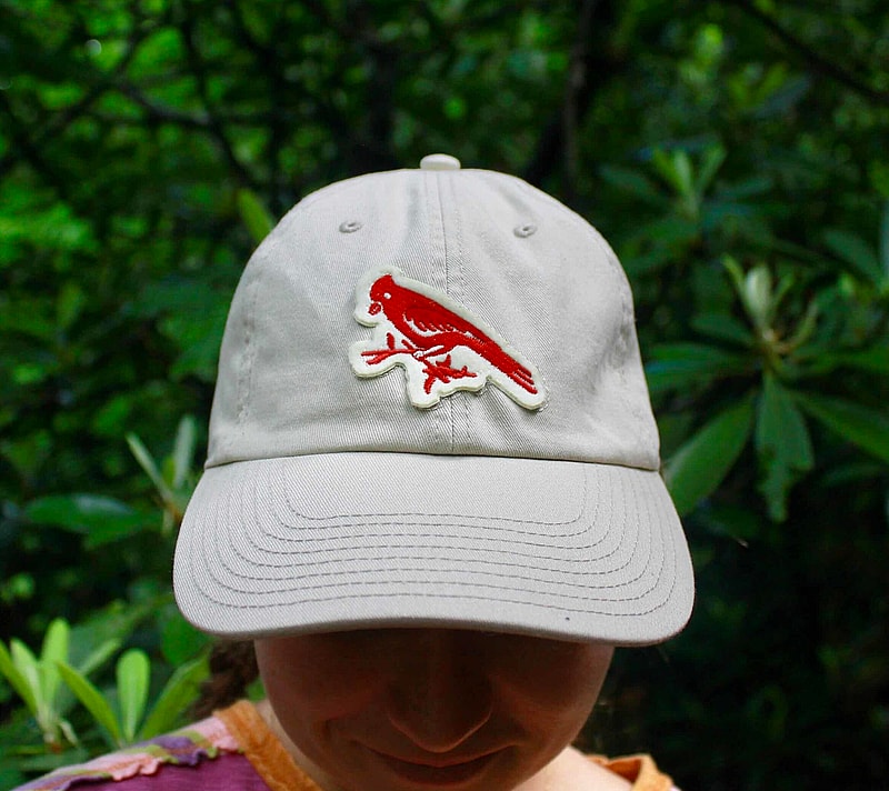 tan baseball cap front modeled