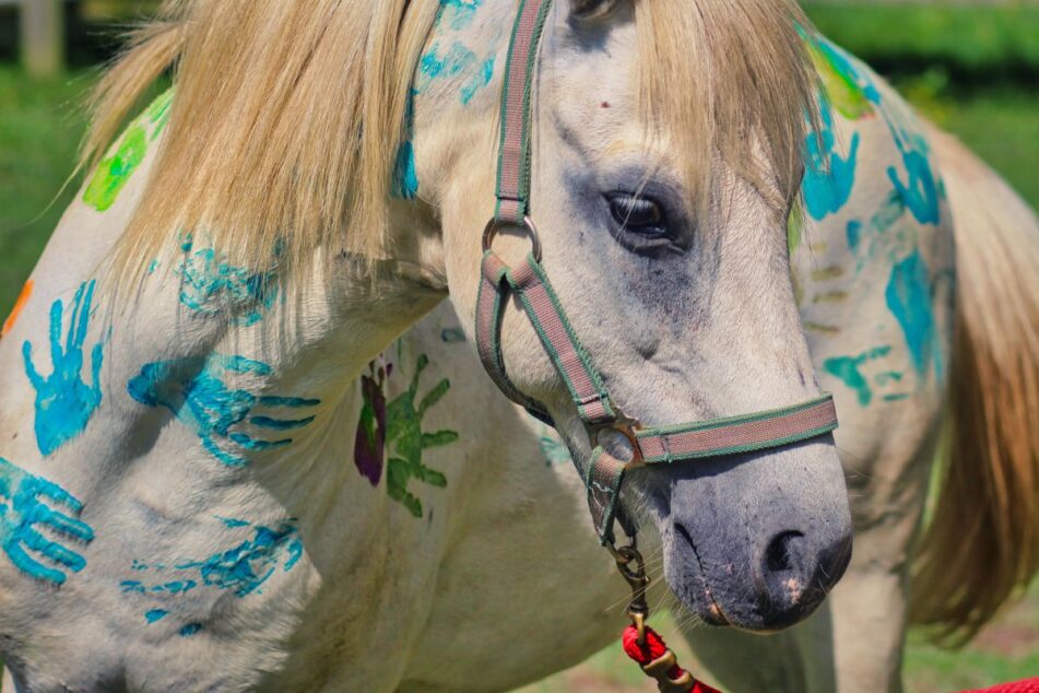 Painted hand print horse