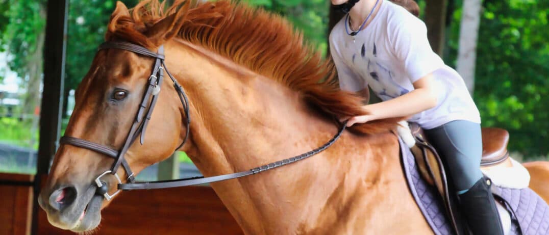 girl playing horse game