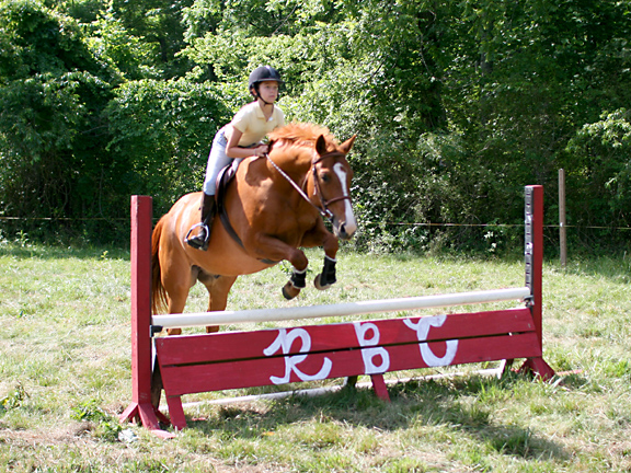 young girl jumping horse