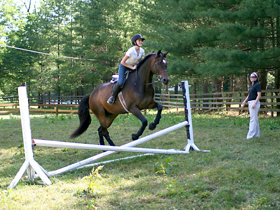 equestrian jumping girl