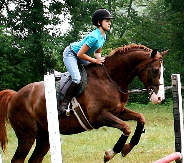 summer equestrian camps